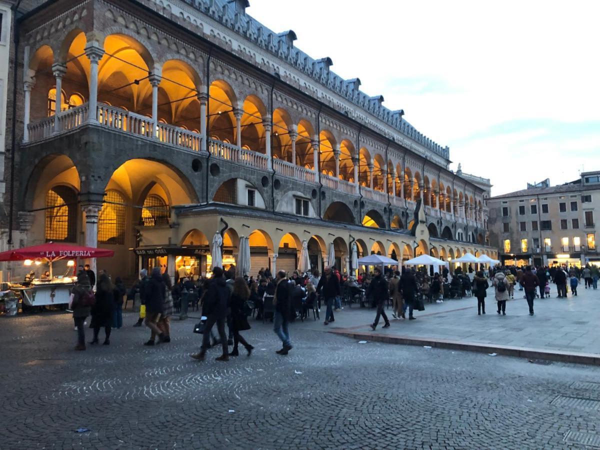 Residence Dei Frutti Pieno Centro - Il Cedro Pádua Exterior foto